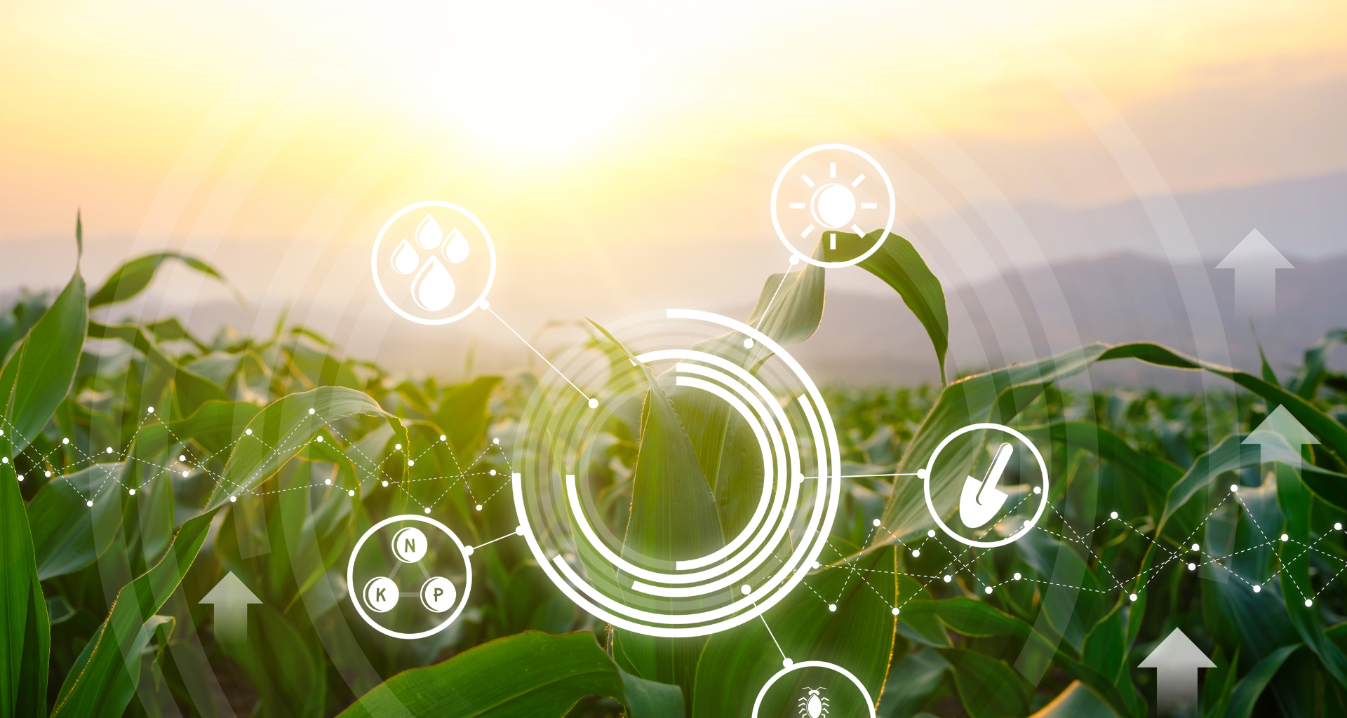 O que significa “plantar bem” em 2025